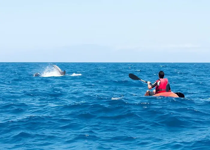 Lovely With Big Sunny Terrace Lägenhet *