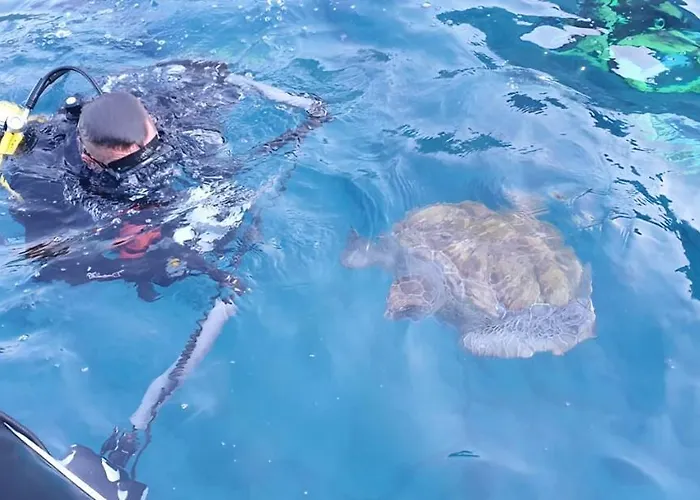 Lovely With Big Sunny Terrace Palm-mar