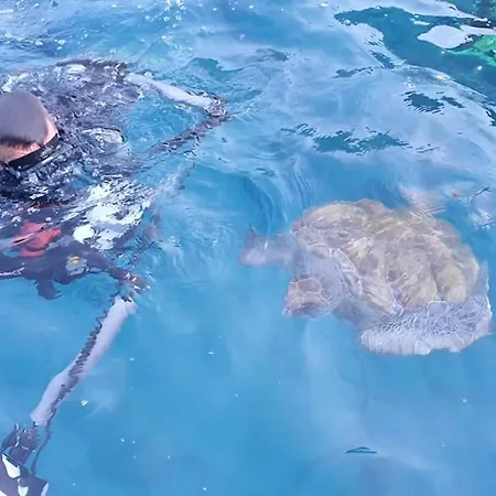 Lovely With Big Sunny Terrace Palm-mar