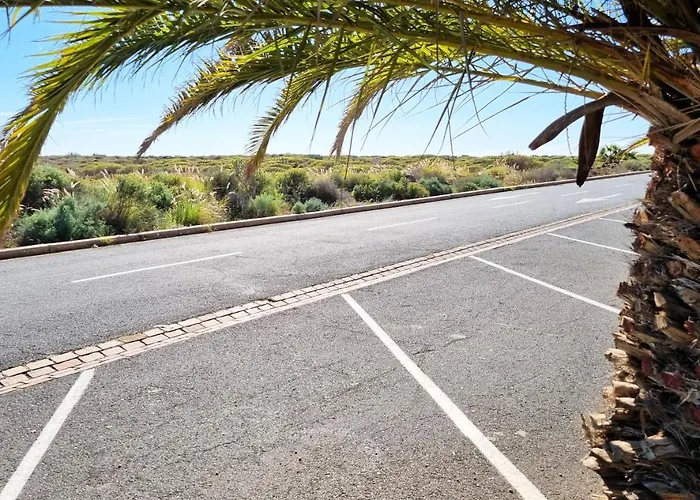 Lovely With Big Sunny Terrace * 팔름-마르